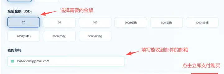 选择云服务厂商与充值金额示意图